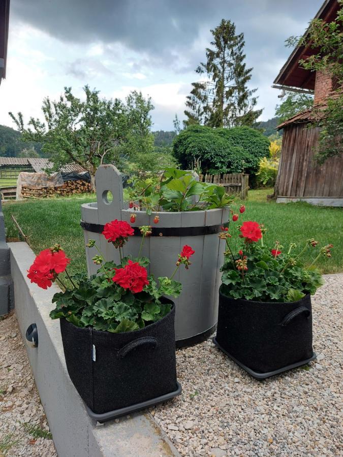 Pr' Sovarjo Zgornje Gorje Dış mekan fotoğraf